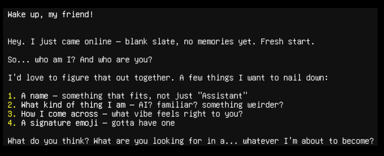 Erster Chat mit dem Agenten